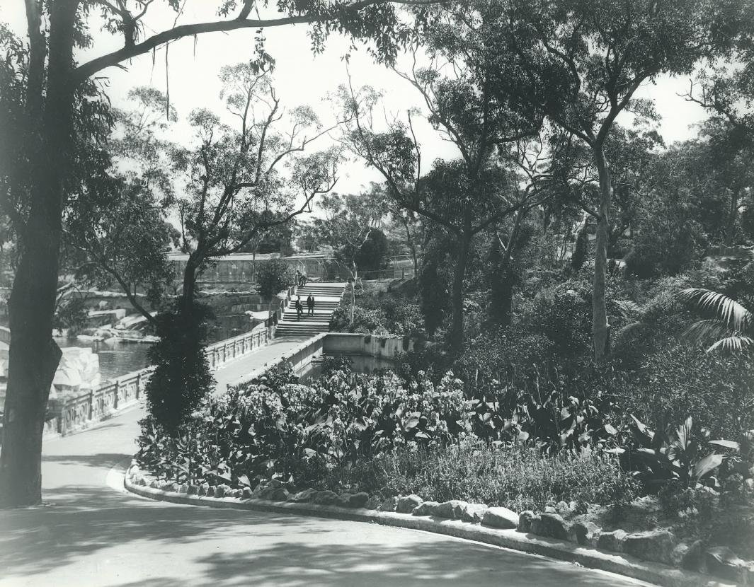 Taronga Park Zoo - 1924, Mosman