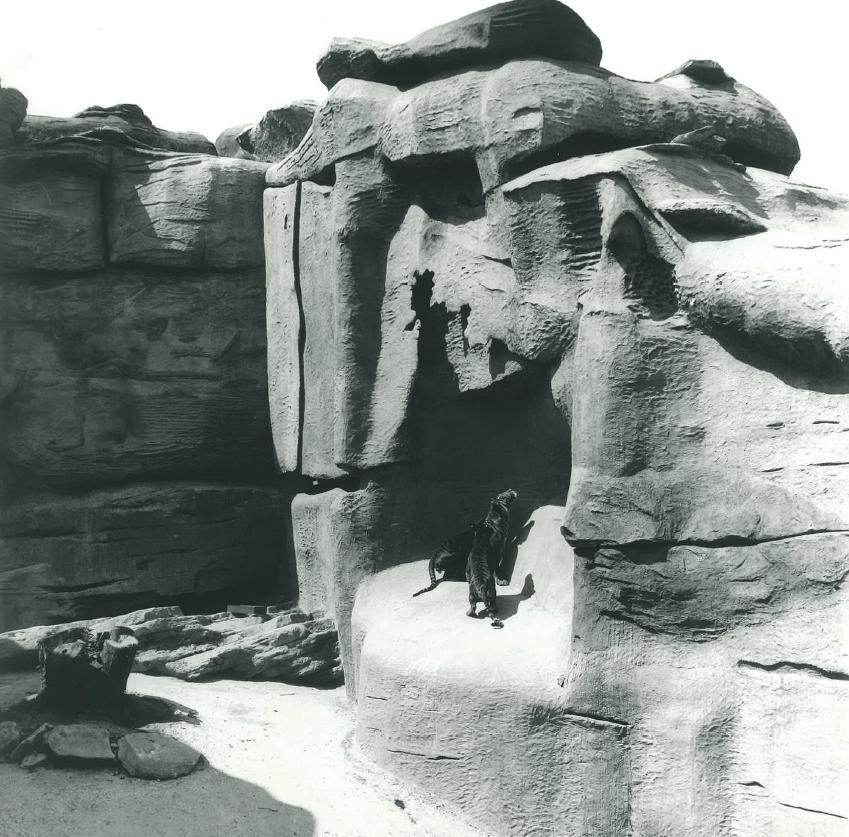 Taronga Park Zoo - 1924, Mosman