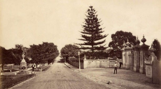 Sydney Botanic Garden - 1882, Sydney city centre