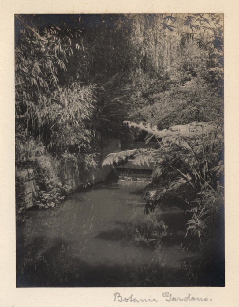 'Botannic Gardens 4' - RAHS-Osborne Collection c. 1930s, Sydney city centre