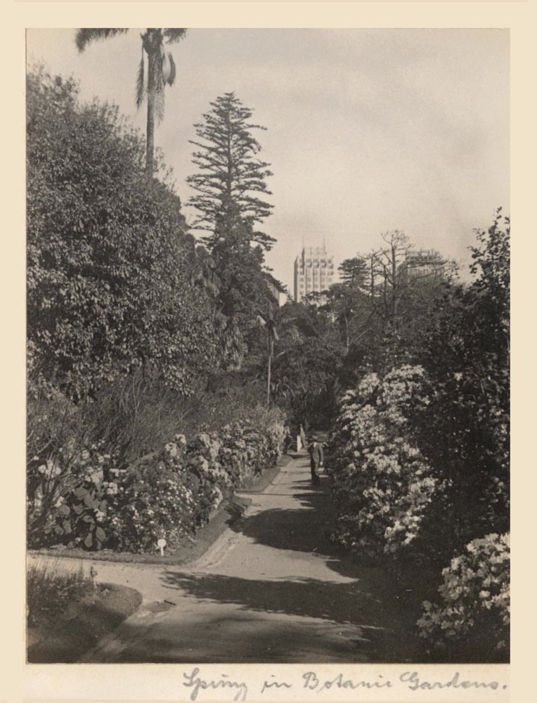 'Spring in Botanical Gardens' - RAHS-Osborne Collection c. 1930s, Sydney city centre