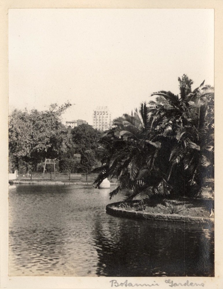 'Botanic Gardens 5' - RAHS-Osborne Collection c. 1930s, Sydney city centre