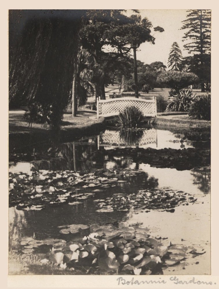 'Botannic Gardens' - RAHS-Osborne Collection c. 1930s, Sydney city centre