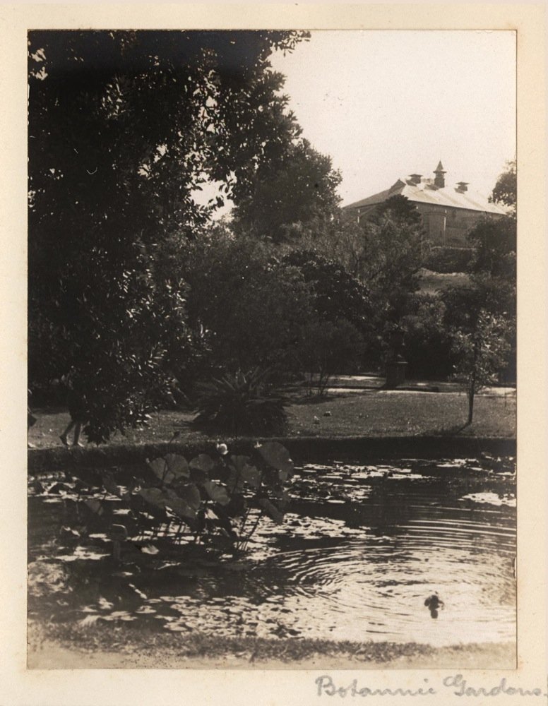 'Botannic Gardens 3' - RAHS-Osborne Collection c. 1930s, Sydney city centre