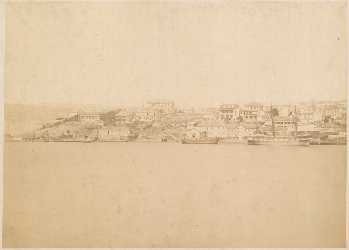 Panorama of Darling Harbour from Balmain - No.1 (c. 1880)