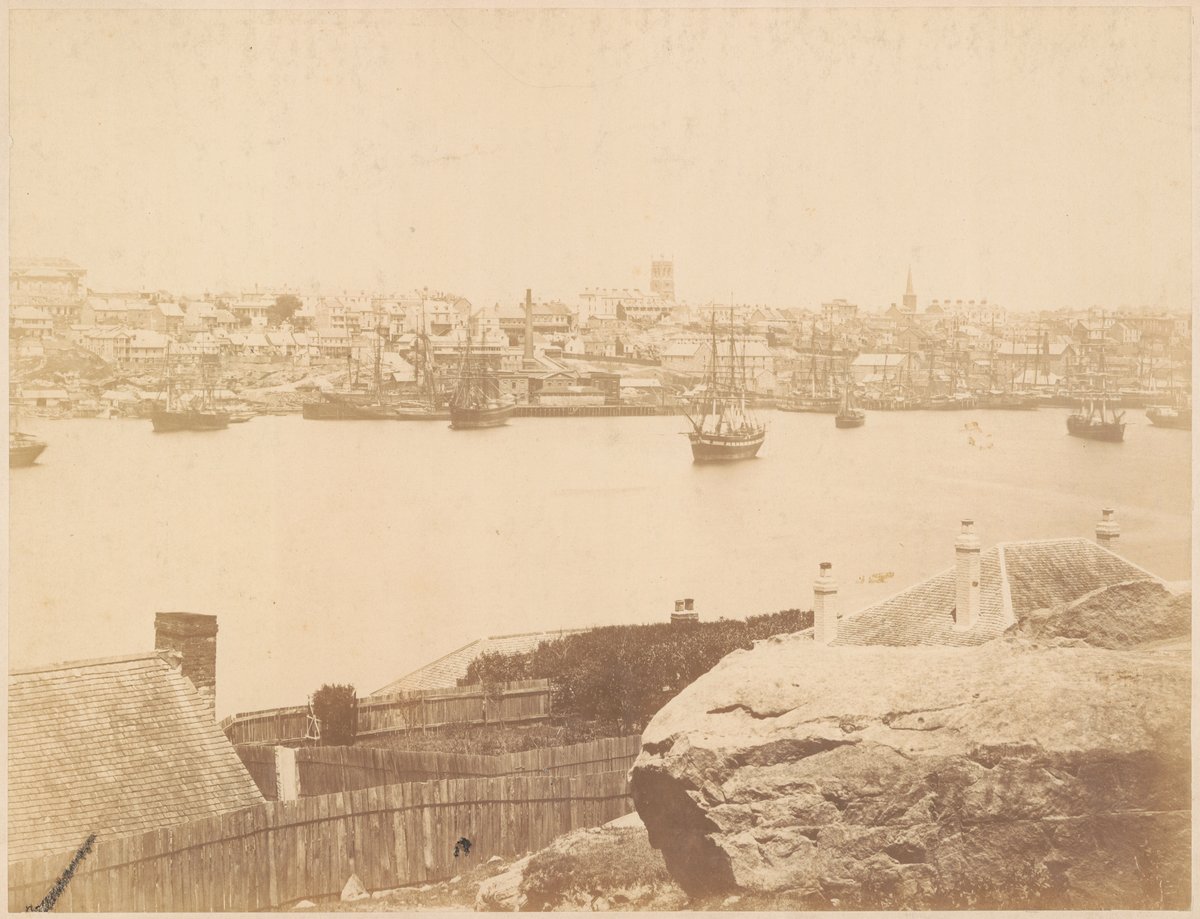 Panorama of Darling Harbour from Balmain - No.3 (c. 1880)