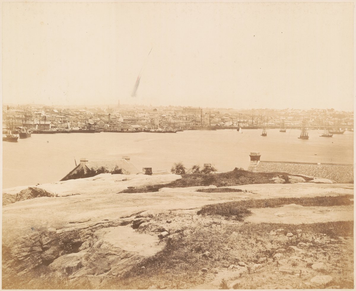 Panorama of Darling Harbour from Balmain - No.4 (c. 1880)