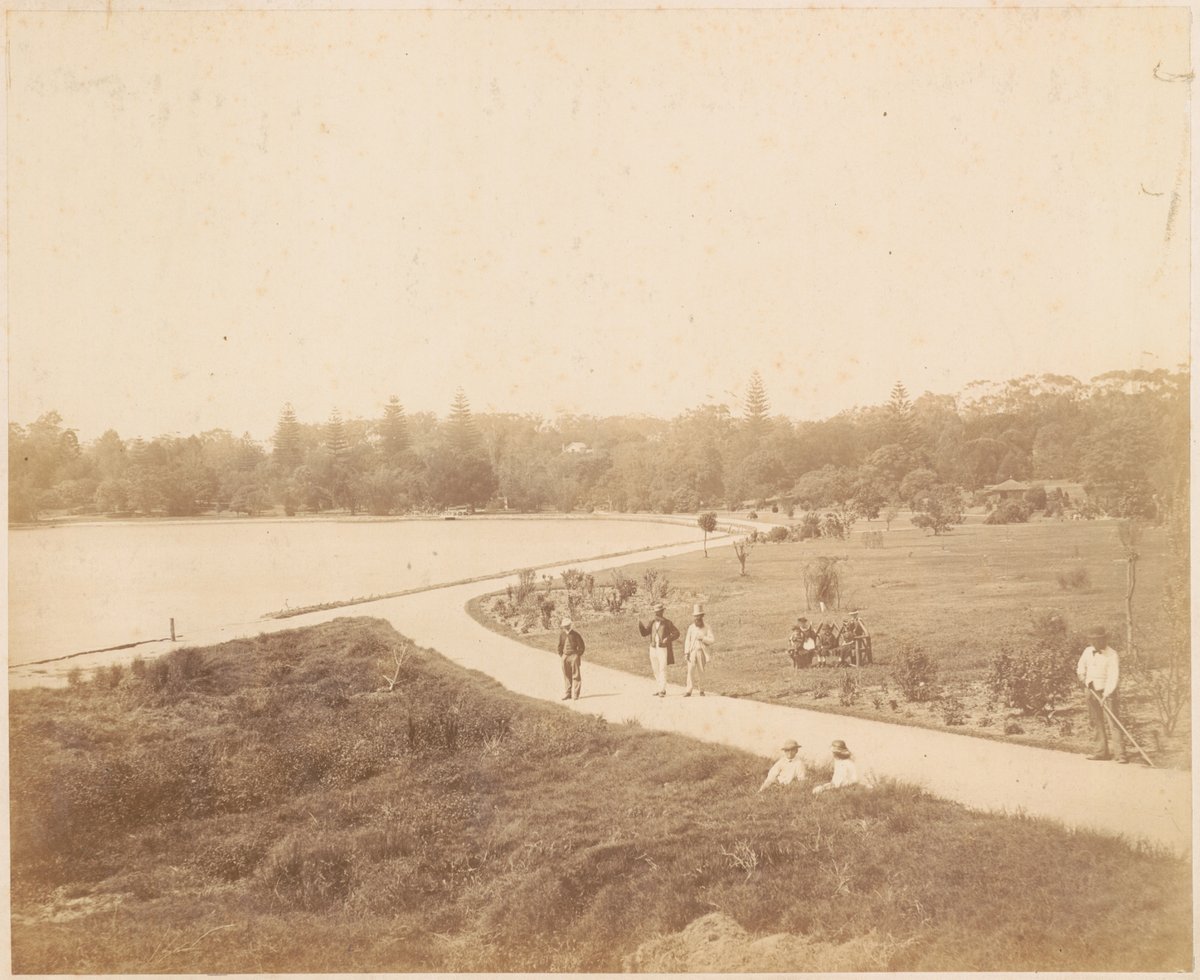 Botanic Gardens (showing old wall), Sydney city centre (c. 1880)