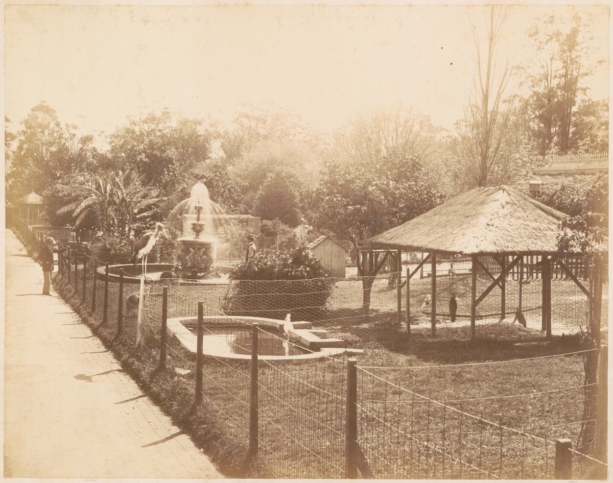 Botanic Gardens (Sydney, NSW), Sydney city centre (c. 1880)
