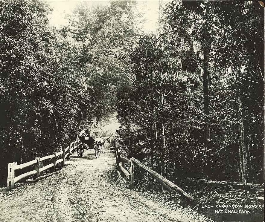 Lady Carrington Road, Royal National Park (NSW), Waterfall (c. 1925)