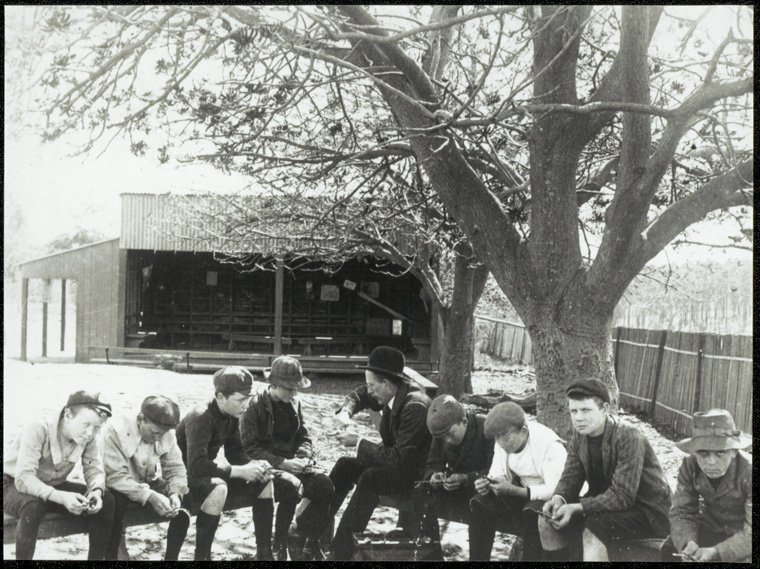 Carlingford Public School - pruning lesson, c. 1910