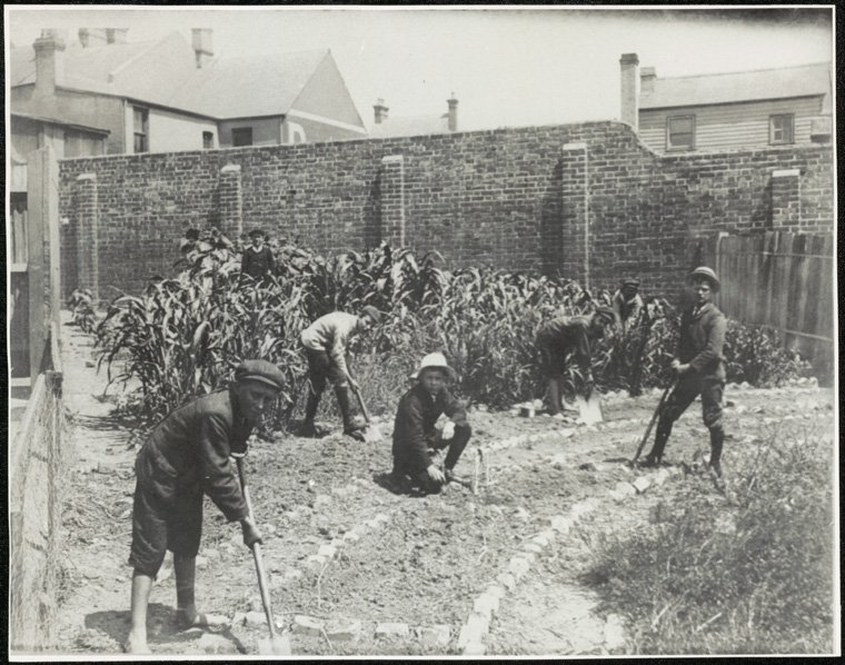 Darlington Public School - gardening (c. 1910)