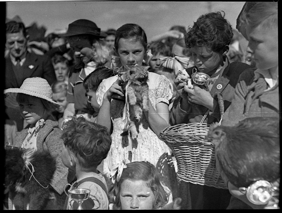 Eastwood pet parade, 5 September 1951, Sam Hood (1947)