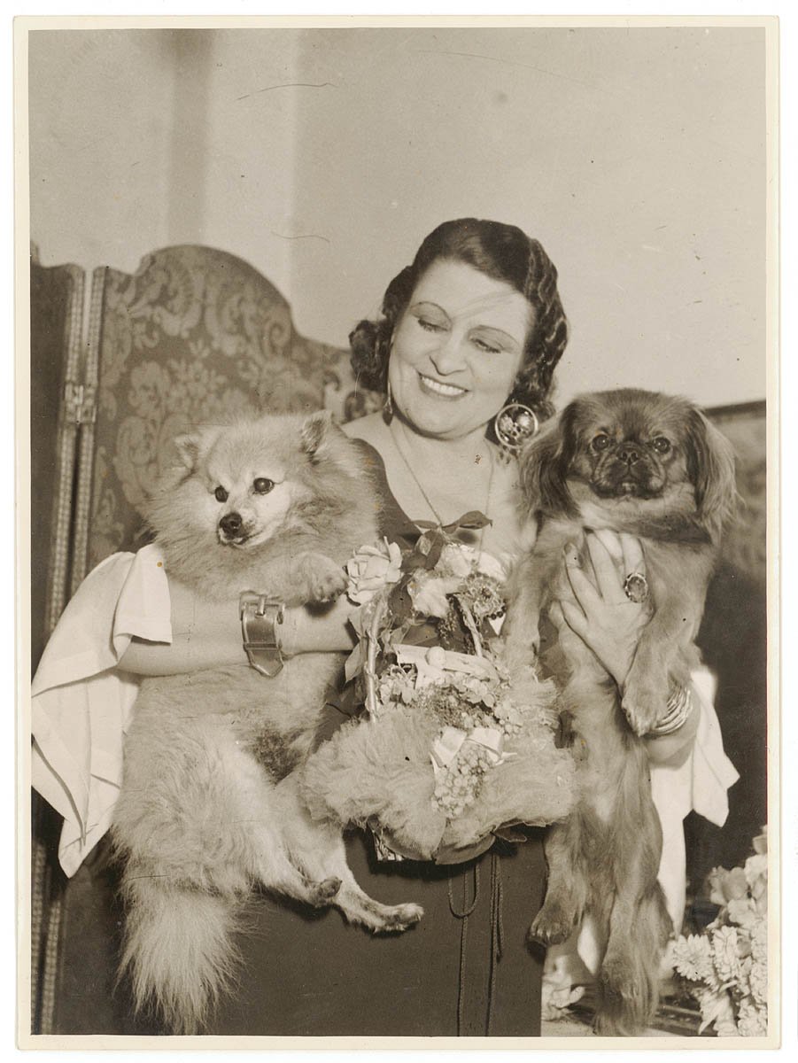 Gladys Moncrieff with her Pekingese and Pomeranian dogs on her birthday, 13 April 1937, by Sam Hood (1920–50)