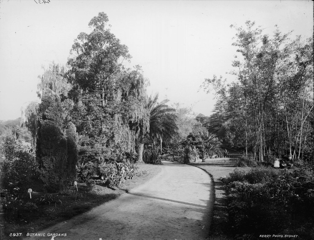 Botanic Gardens, Sydney, Sydney city centre (c. 1900)