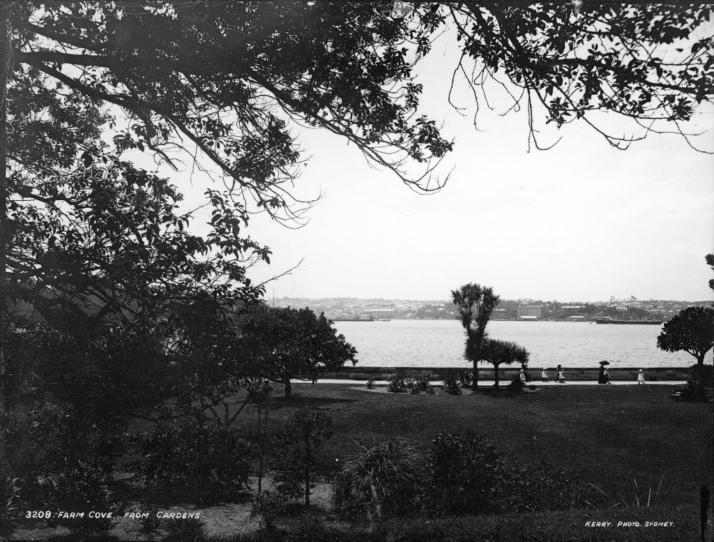 Farm Cove from Royal Botanic Gardens, Sydney, Sydney city centre (c. 1900)
