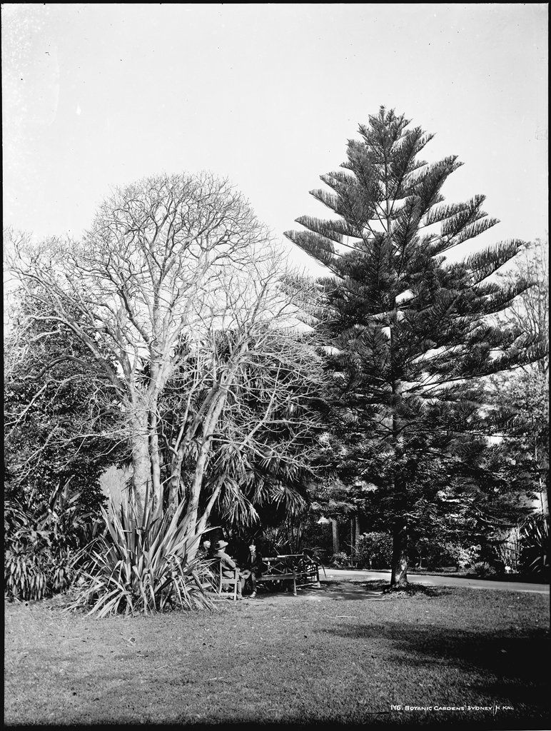 Botanic Gardens, Sydney, Sydney city centre (c. 1900)