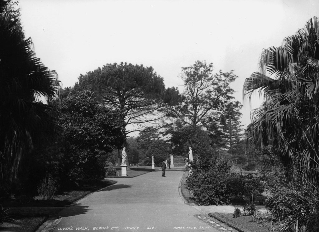 Lover's Walk, Botanical Gardens, Sydney, Sydney city centre (c. 1900)