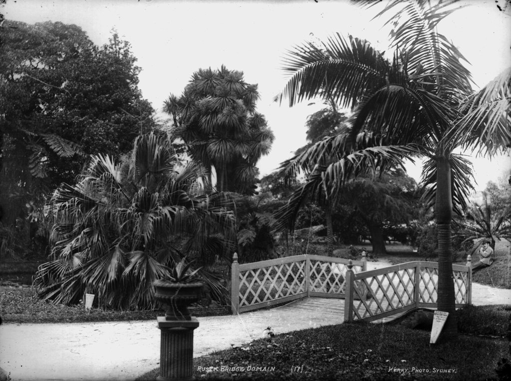 Rustic bridge, Domain, Sydney city centre (c. 1900)