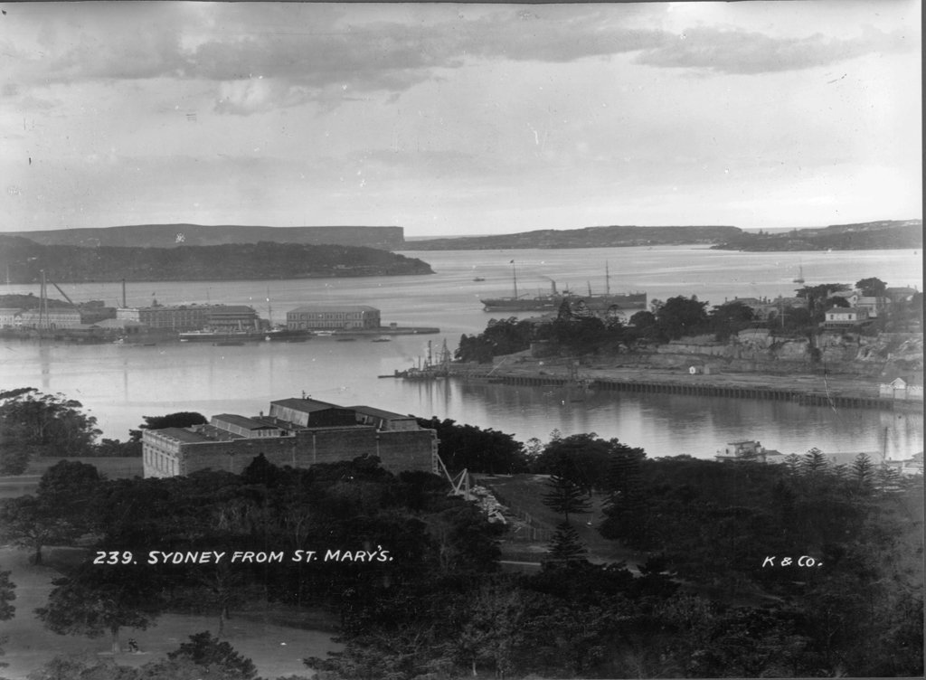 Sydney from St Mary's Cathedral, Sydney city centre (c. 1900)