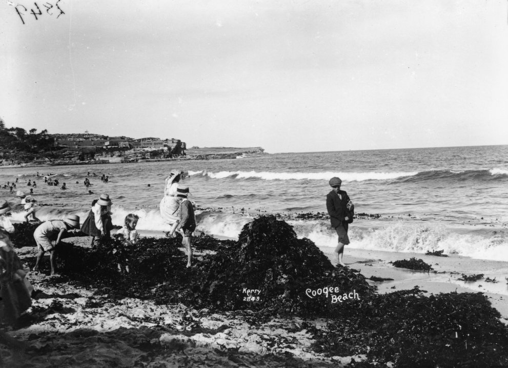 Coogee Beach from The Powerhouse Museum (c. 1900)