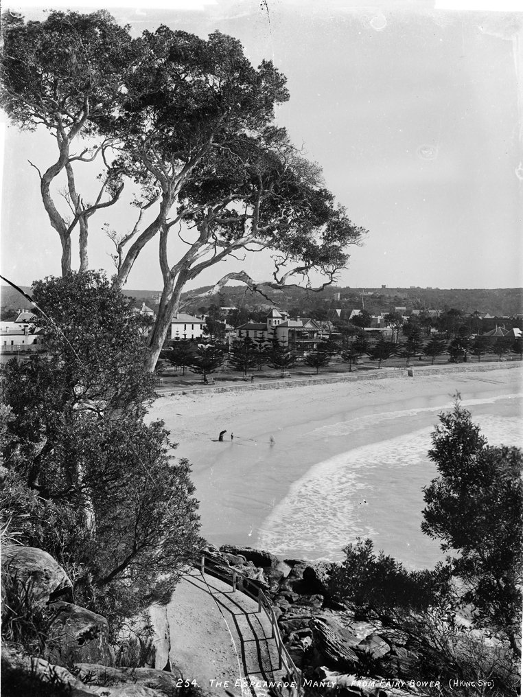 The Esplanade, Manly, from Fairy Bower from The Powerhouse Museum (c. 1900)