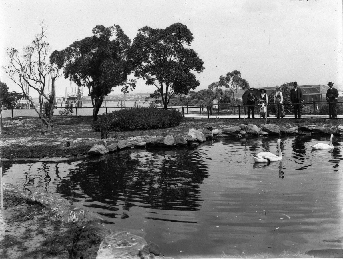 In the upper grounds, Taronga Zoological Park, Mosman (1917)