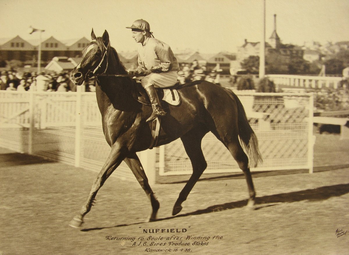 NUFFIELD 1938 AJC SIRES PRODUCE STAKES HAROLD BADGER, Randwick
