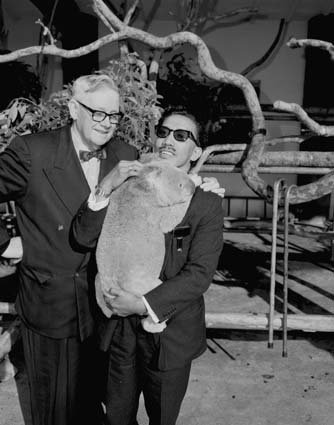 The Sultan of Brunei, Sir Omar Ali Saifuddin (right) makes friends with a koala at Taronga Park Zoological Gardens in Sydney, watched by Sir Edward Hallstrom, Honorary Director - 1964, Mosman