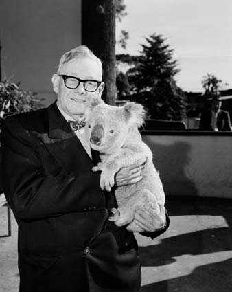 Sir Edward Hallstrom with a Koala at Taronga Park Zoo 1964, Mosman