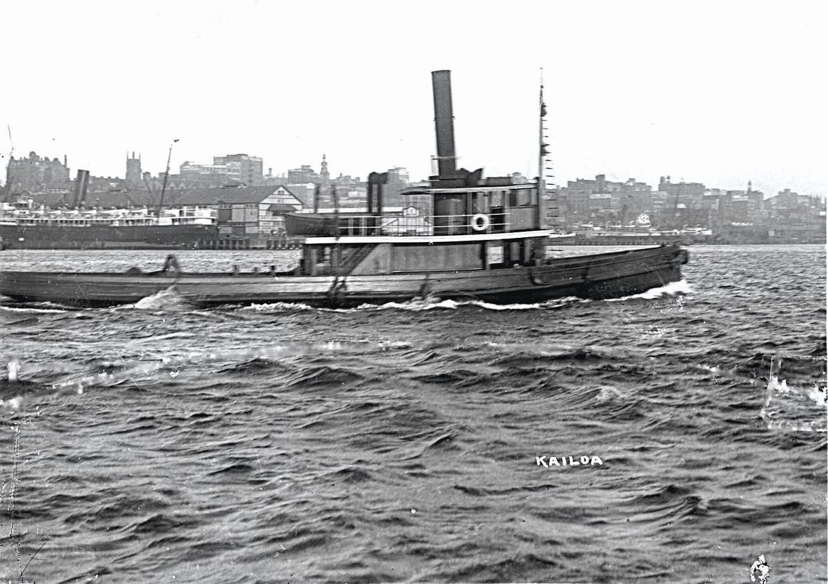 Sydney tug GREYHOUND II (c. 1902)