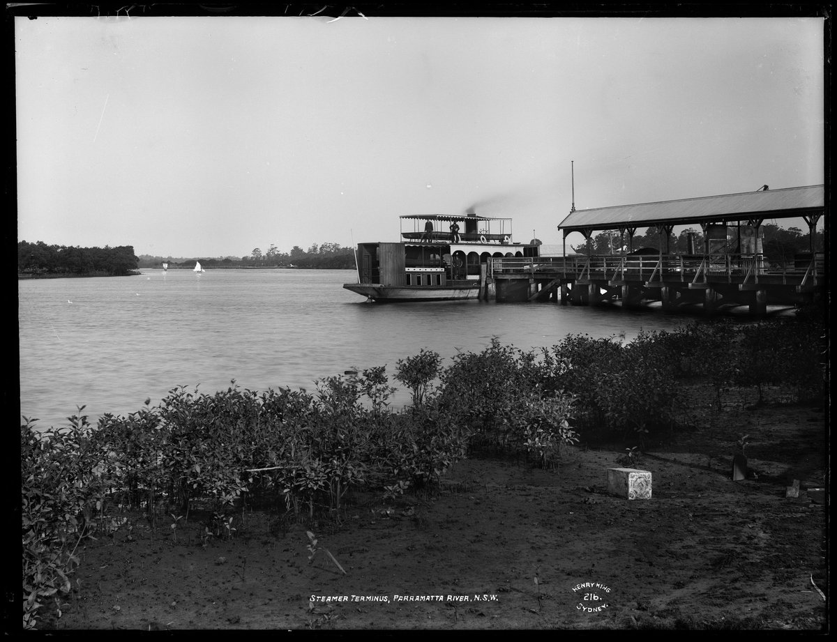 Sydney Ferry HALCYON, Parramatta River (c. 1890)