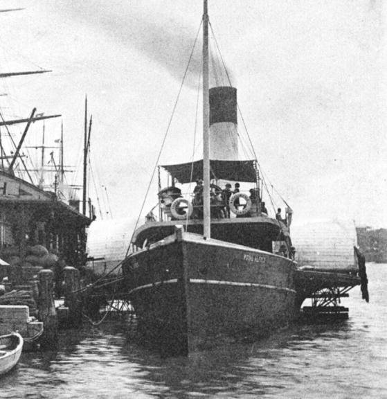 Sydney Ferry ROYAL ALFRED, Circular Quay (c. 1890)