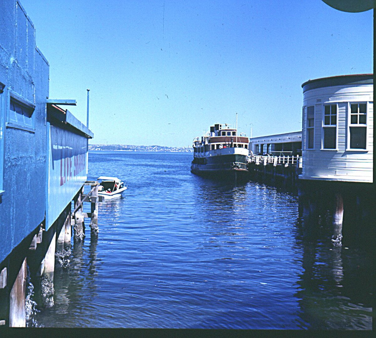 Sydney Ferry NORTH HEAD at Manly Wharf 1970