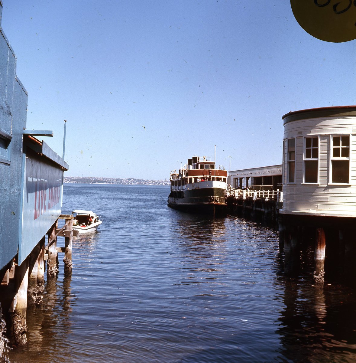 Sydney Ferry NORTH HEAD at Manly Wharf circa 1970 (c. 1970)