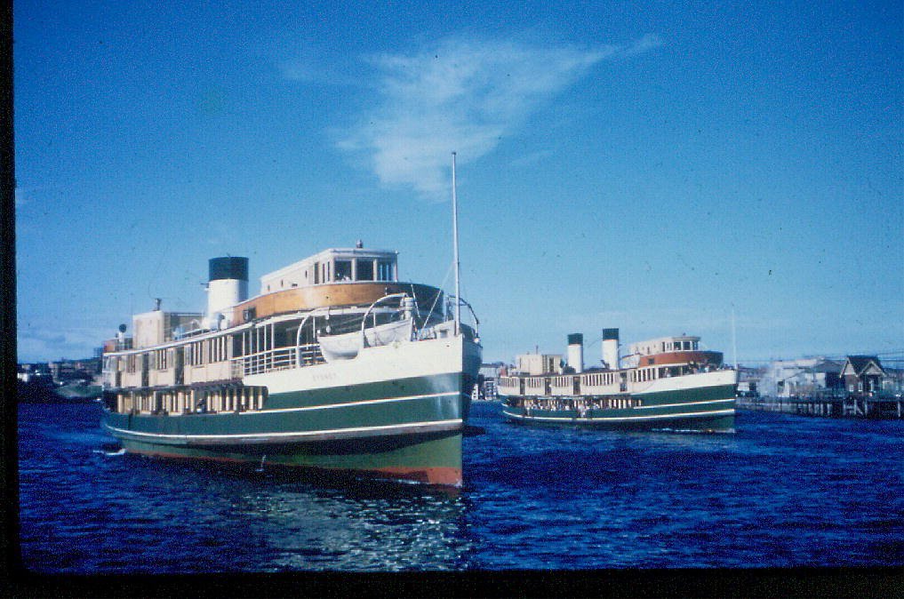 Sydney Ferries BARAGOOLA and NORTH HEAD both approaching Circular Quay wharf 24 Jan 1964