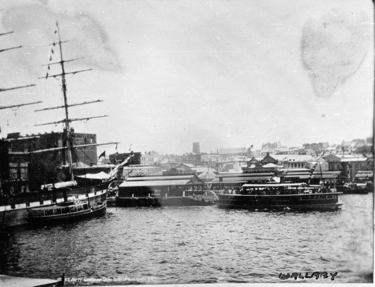 Sydney Ferry WALLABY and ENA at Circular Quay 1895