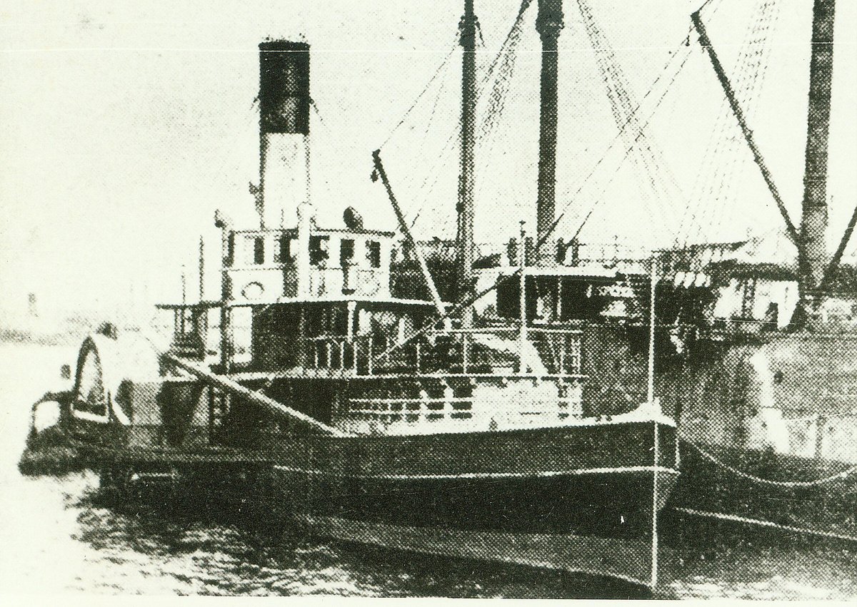 Sydney Ferry FAIRLIGHT as cargo vessel laid up 1912 (c. 1912)