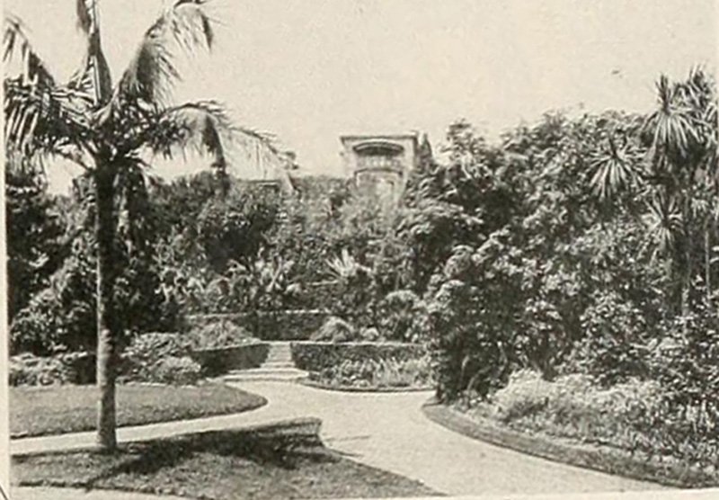 Cranbrook Garden 1895, Bellevue Hill