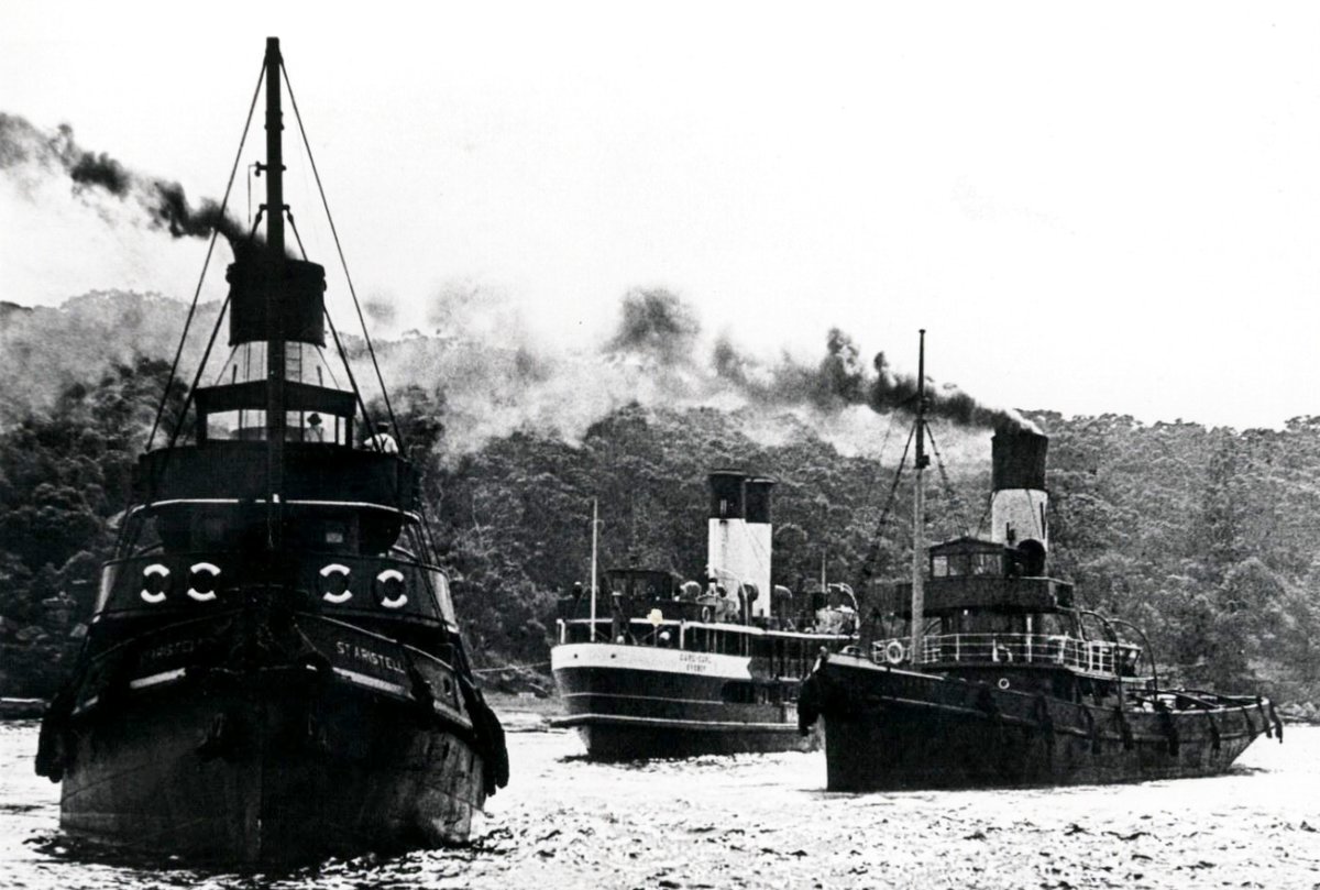 Sydney ferry CURL CURL aground at Bradleys Head with tugs ST ARISTEL and LINDFIELD 31 March 1936, Mosman