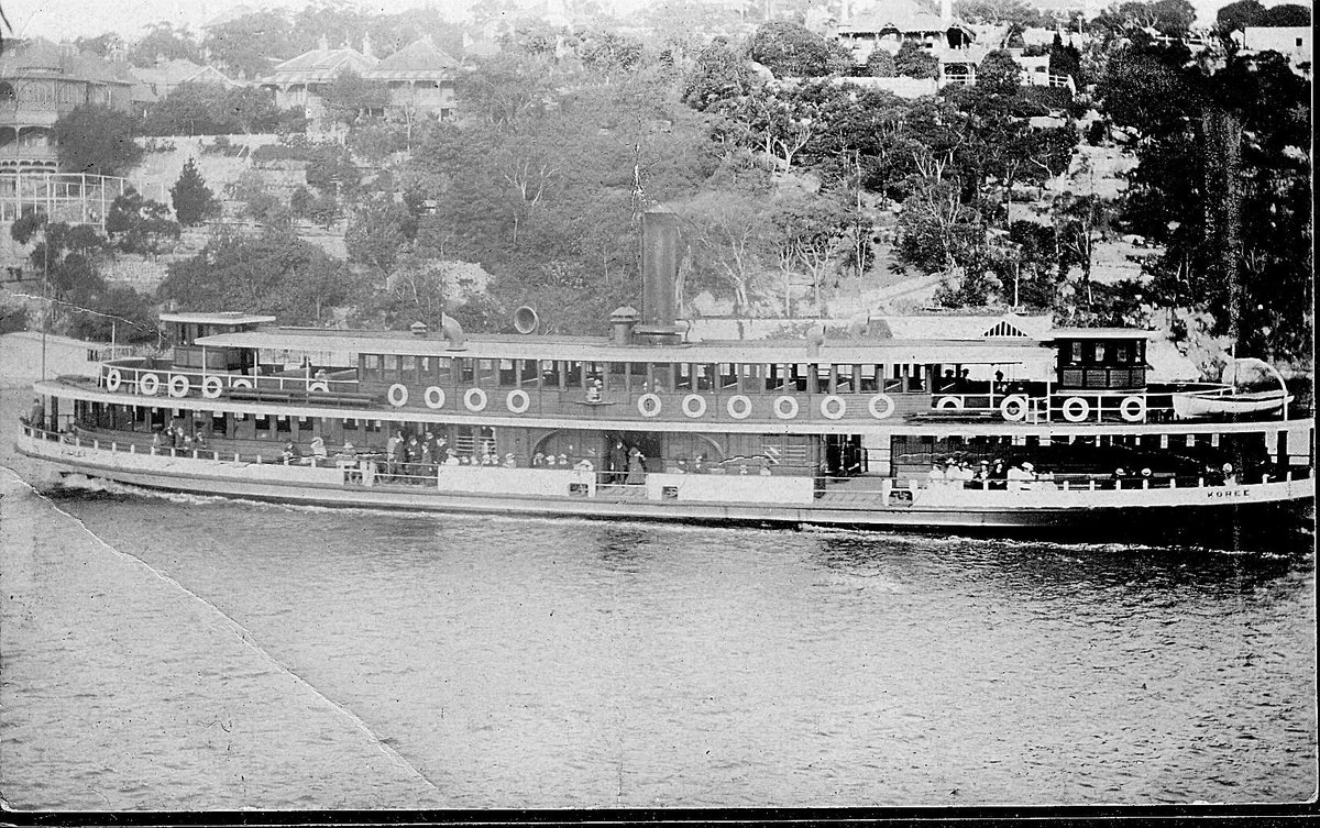 Sydney ferry KOREE in Mosman Bay c 1910 (c. 1910)