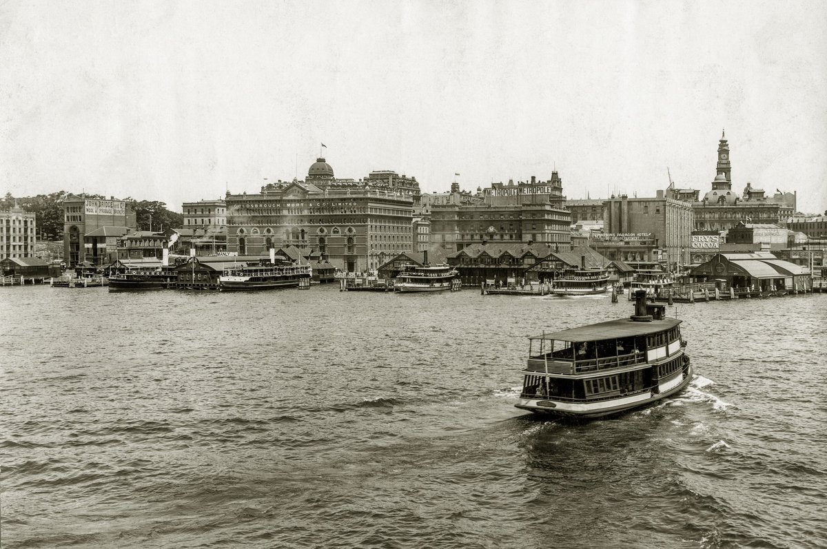 Sydney ferry SHAMROCK approaches Circular Quay. Other ferries include BRIGHTON KURING-GAI KAREELA circa 1905 (c. 1905)