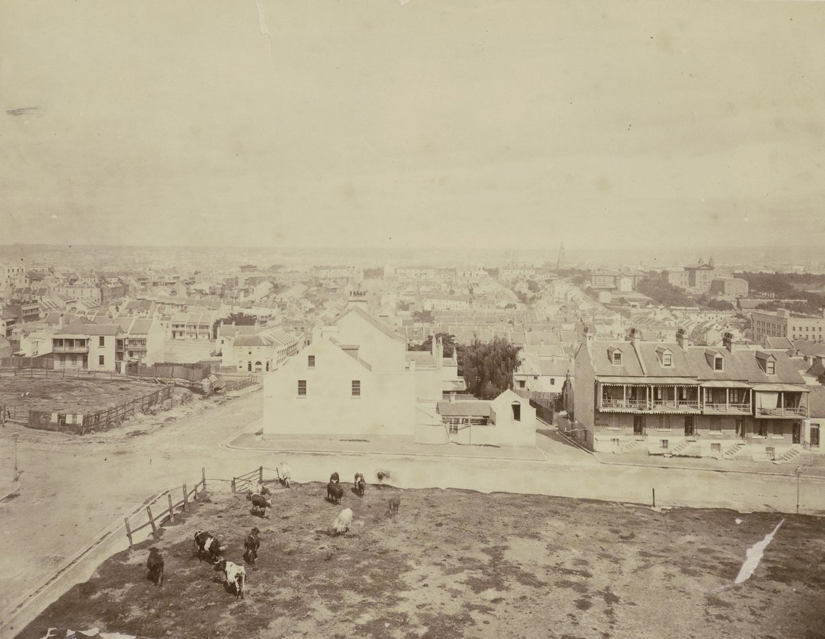 'Hilton', John Rae's House in Liverpool Street, Sydney c.1880, Darlinghurst (c. 1880)