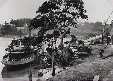 Sydney ferry KARINGAL at Gladesville, 1923