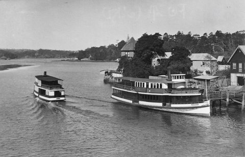 Sydney ferry SHAMROCK at Fig Tree Lane Cove River, c. 1901