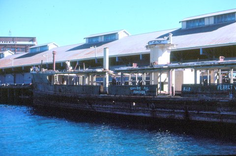 Sydney ferry BELLUBERA hulked at Pyrmont, 1980