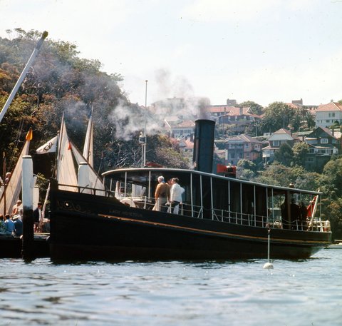 Sydney steam launch LADY HOPETOWN in MOSMAN BAY, 1970