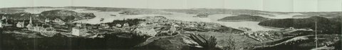 Historic Sydney Panorama, 1875