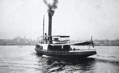 Sydney tug GREYHOUND 2 later ferry KAILOA, 1902–08
