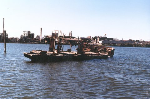 Homebush Bay, NSW - Remains of Mortlake Bank, 1985 (Graeme Andrews, City of Sydney Archive)